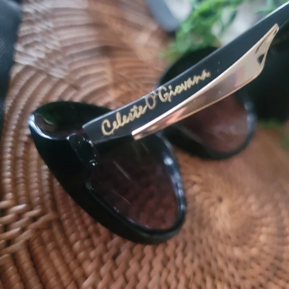 Designer sunglasses NWOT & crossbody bag